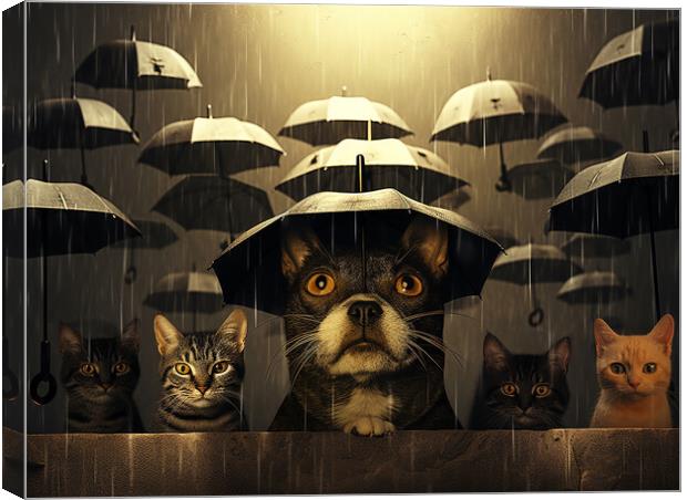 Raining Cats And Dogs Canvas Print by Steve Smith