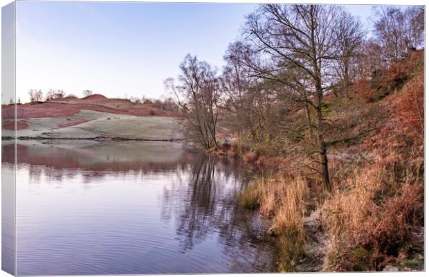 Tarns Hows Lake District Canvas Print by Steve Smith