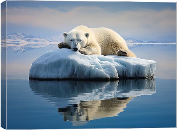 Sleeping Polar Bear Canvas Print by Steve Smith