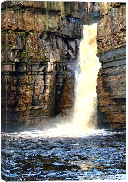 High Force Waterfall Canvas Print by Steve Smith