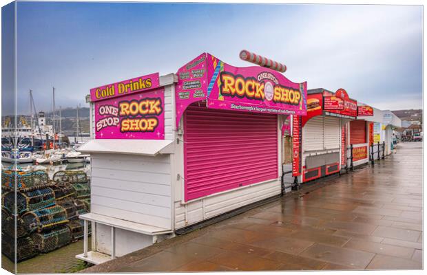 One Stop Rock Shop Canvas Print by Steve Smith