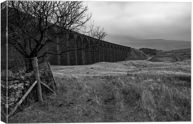 Ribblehead Viaduct Canvas Print by Steve Smith