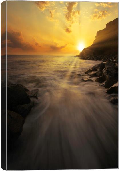 Golden Sunrise over Whitby Cliffs Canvas Print by Tim Hill