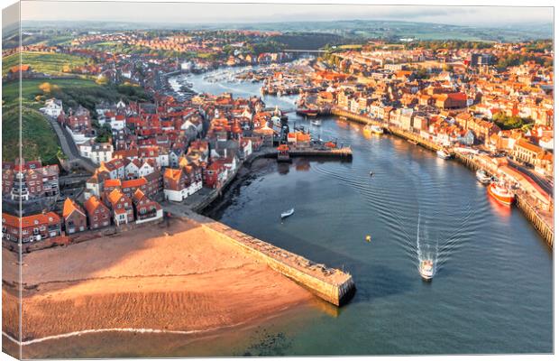 Whitby from Above Canvas Print by Tim Hill
