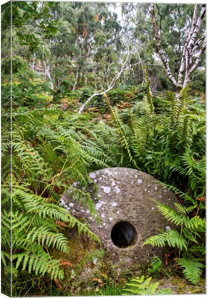 Secrets of the Abandoned Millstone Canvas Print by Tim Hill