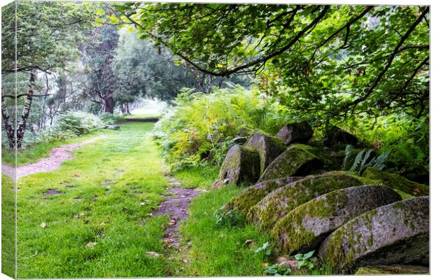 Millstone at Bolehill Quarry, Peak District Canvas Print by Tim Hill