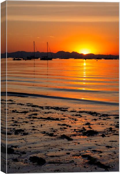 Sunrise Abersoch Canvas Print by Tim Hill