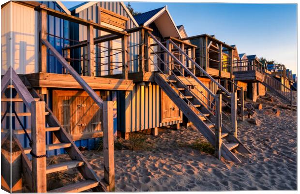 Golden Sunrise at Abersoch Beach Canvas Print by Tim Hill