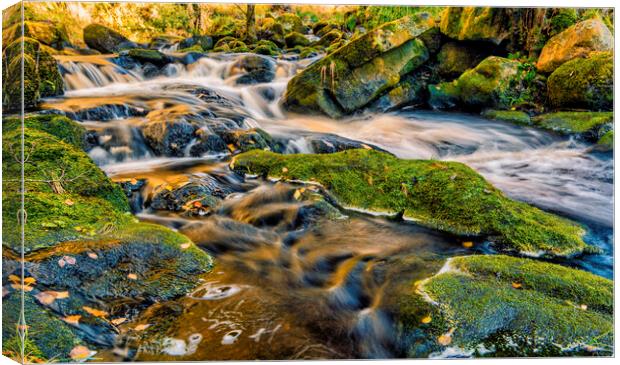 Yorkshire Dales Stream Canvas Print by Tim Hill