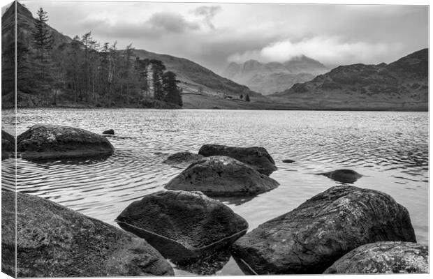The Langdale Pikes from Blea Tarn Canvas Print by Tim Hill