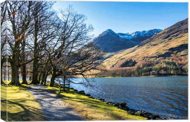 Haystacks and Fleetwith Pike Buttermere Canvas Print by Tim Hill