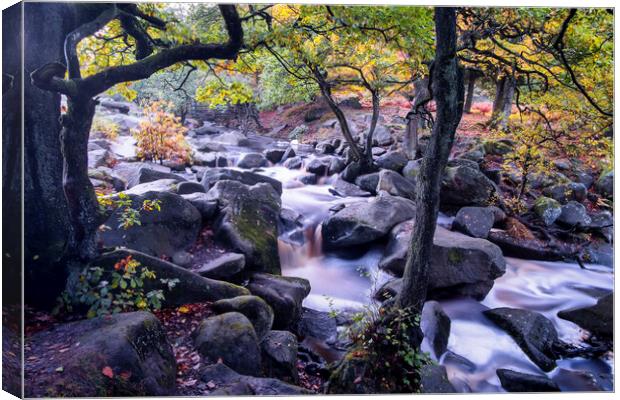 Autumn at Padley Gorge Canvas Print by Tim Hill