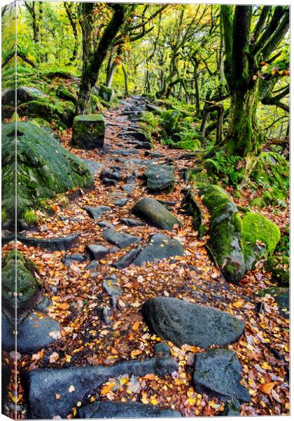 Spectacular Autumn Colors at Padley Gorge Canvas Print by Tim Hill