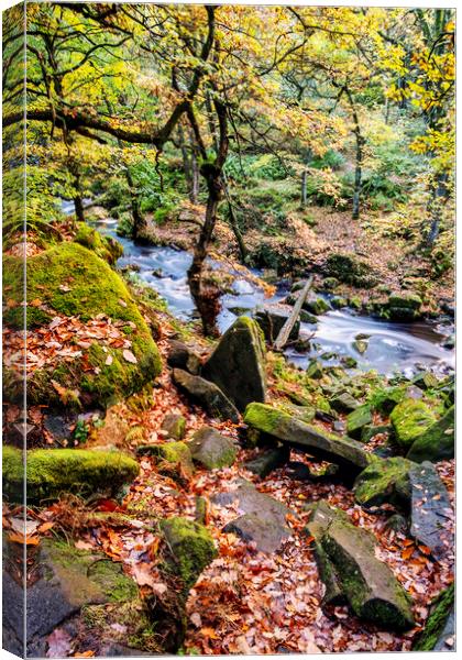 Padley Gorge Peak District Canvas Print by Tim Hill