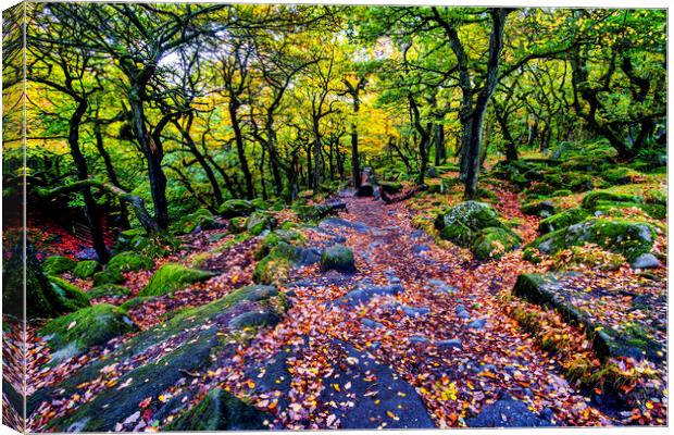 Padley Gorge in Autumn Canvas Print by Tim Hill