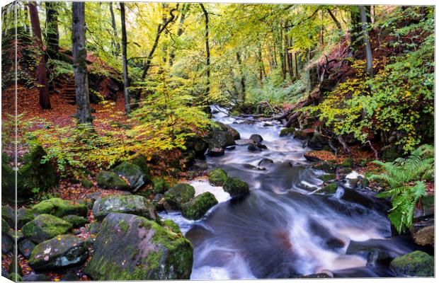 Padley Gorge In Autumn Canvas Print by Tim Hill