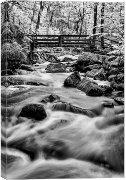 Burbage Brook Padley Gorge Canvas Print by Tim Hill