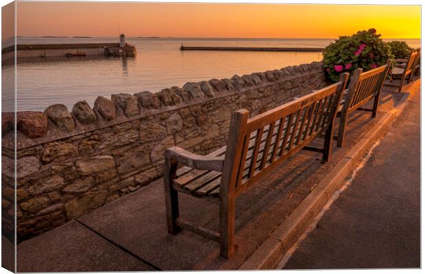 Benches at Seahouses looking towards the Farnes Canvas Print by Tim Hill