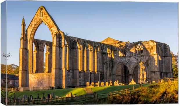 Bolton Abbey Yorkshire Dales Canvas Print by Tim Hill