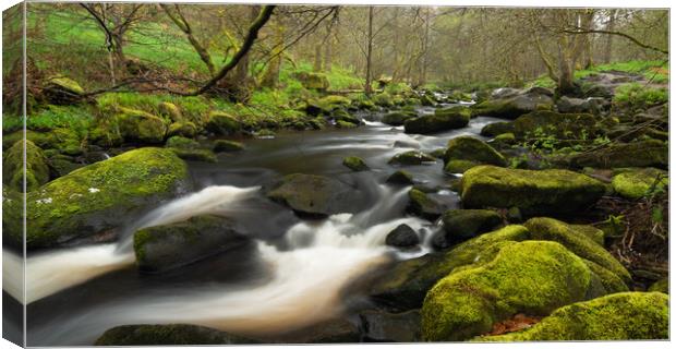 Hebden Beck Near Hardcastle Crags Canvas Print by Tim Hill