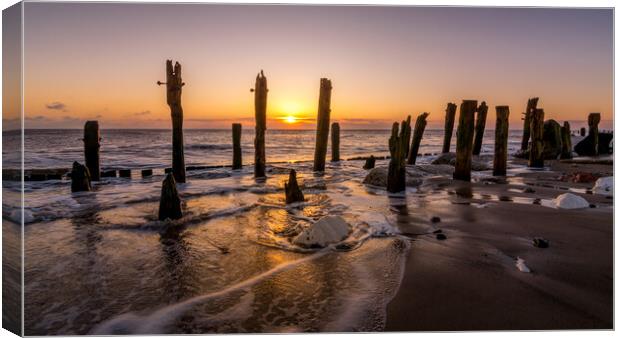 Golden Sunrise at Spurn Point Canvas Print by Tim Hill