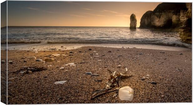 Selwicks Bay Flamborough Head Canvas Print by Tim Hill