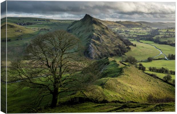 Chrome Hill Lone Tree ~ Derbyshire Peak District Canvas Print by Tim Hill