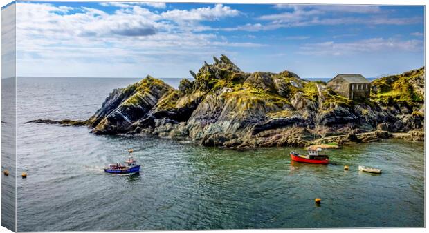 Polperro Cornish Coast Canvas Print by Tim Hill