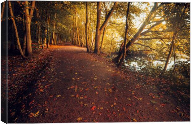 A Symphony of Autumn Colours Canvas Print by Tim Hill