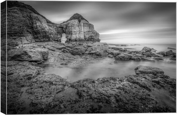 Thornwick Bay Cliff Arch in Black and White Canvas Print by Tim Hill