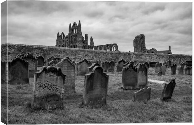Whitby Abbey Canvas Print by Tim Hill
