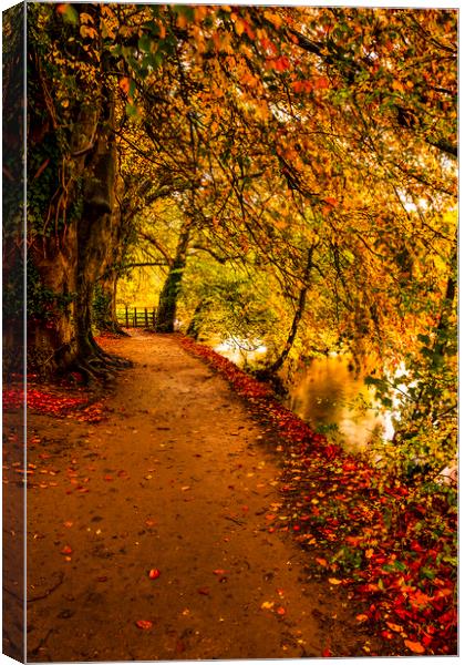 Serene Autumnal Walk Canvas Print by Tim Hill