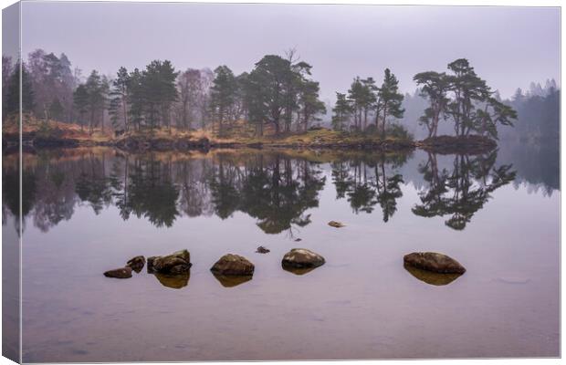 Serene Reflections of Misty Tarn Hows Canvas Print by Tim Hill