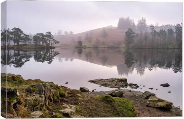 Tarn Hows Landscape Canvas Print by Tim Hill