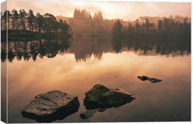 Serene Reflections at Tarn Hows Canvas Print by Tim Hill