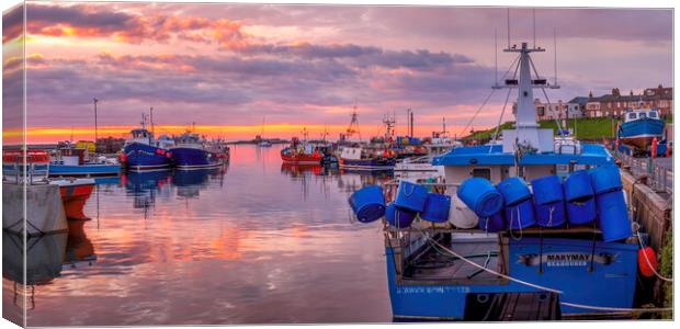 Seahouses Harbour Sunrise Canvas Print by Tim Hill