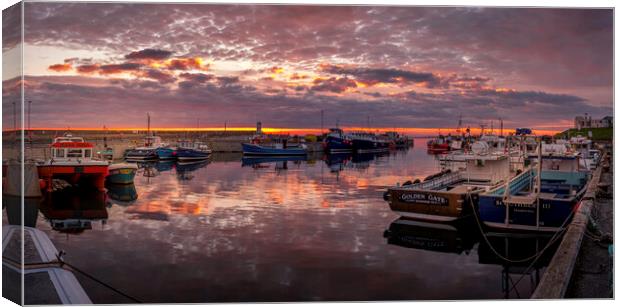 Calm Sunrise Over Seahouses Harbour Canvas Print by Tim Hill