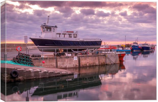 Seahouses Harbour Canvas Print by Tim Hill