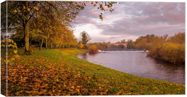 Tadcaster Weir North Yorkshire Canvas Print by Tim Hill