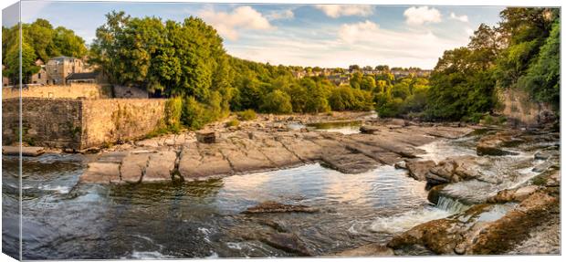 Richmond Falls North Yorkshire Canvas Print by Tim Hill