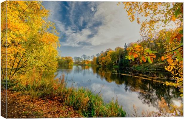 Golden Foliage Reflected on Wakefield Lake Canvas Print by Tim Hill