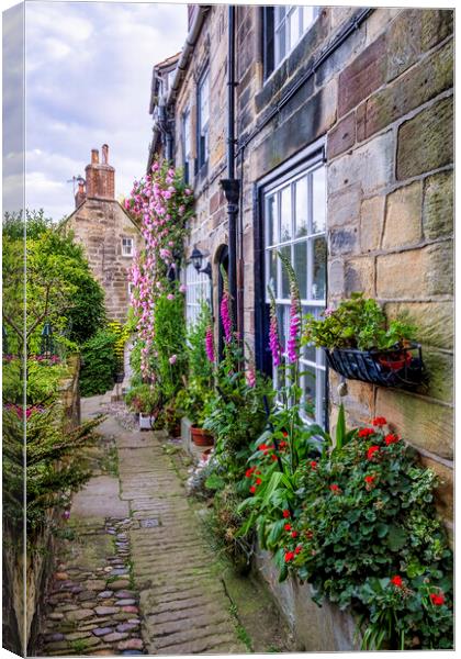 A Secret Garden on the Yorkshire Coast Canvas Print by Tim Hill