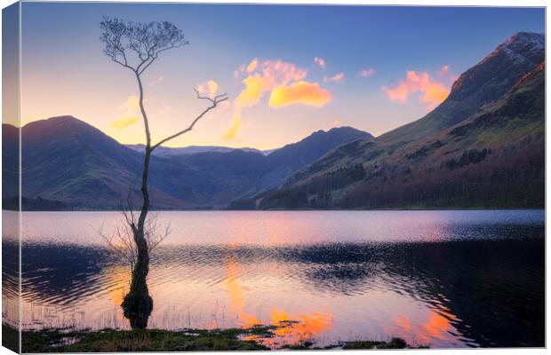 Serenity in Buttermere Canvas Print by Tim Hill