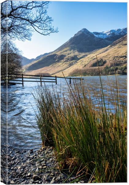 Majestic Buttermere Scenery Canvas Print by Tim Hill