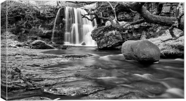 East Gill Force Black and White Canvas Print by Tim Hill