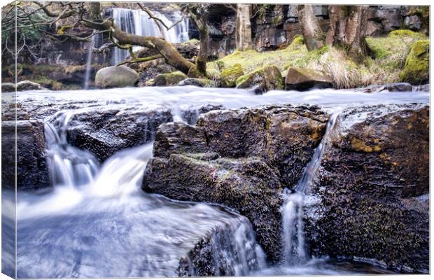 East Gill Force Waterfall  Canvas Print by Tim Hill