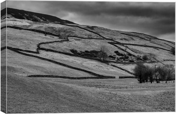 Swaledale Countryside Black and White Canvas Print by Tim Hill