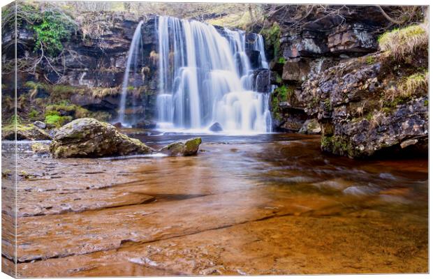 East Gill Force Swaledale Canvas Print by Tim Hill