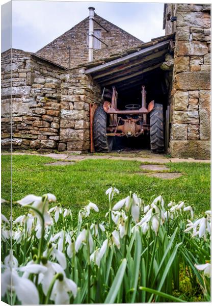 Rusty Vintage Tractor in Yorkshire Shed Canvas Print by Tim Hill