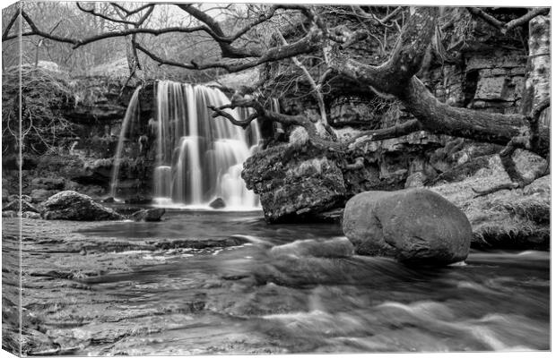 East Gill Force Waterfall, Keld Canvas Print by Tim Hill